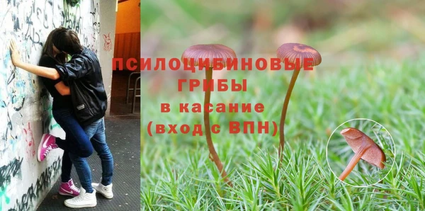 прущая мука Карталы