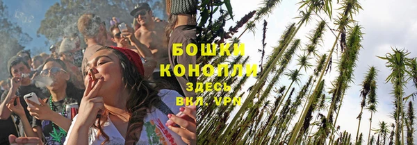 дурь Карпинск