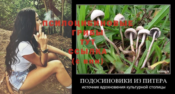 стафф Киреевск